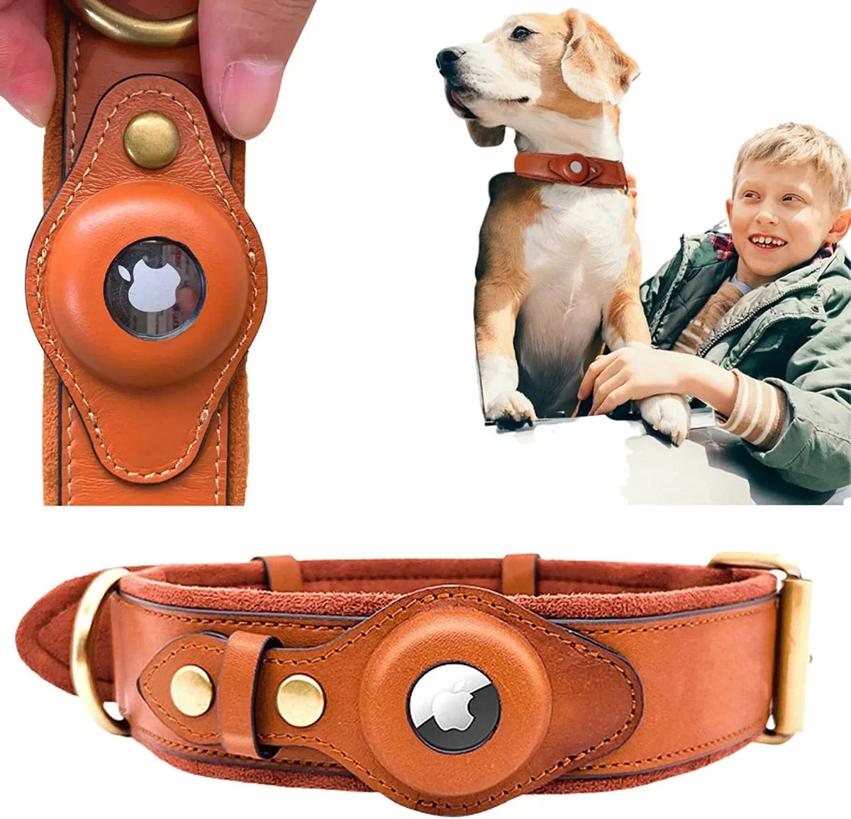 LuxAce™ - Sicherhalsband
